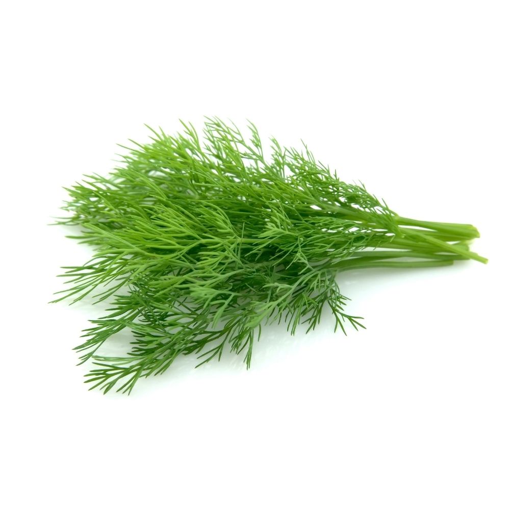 Dill