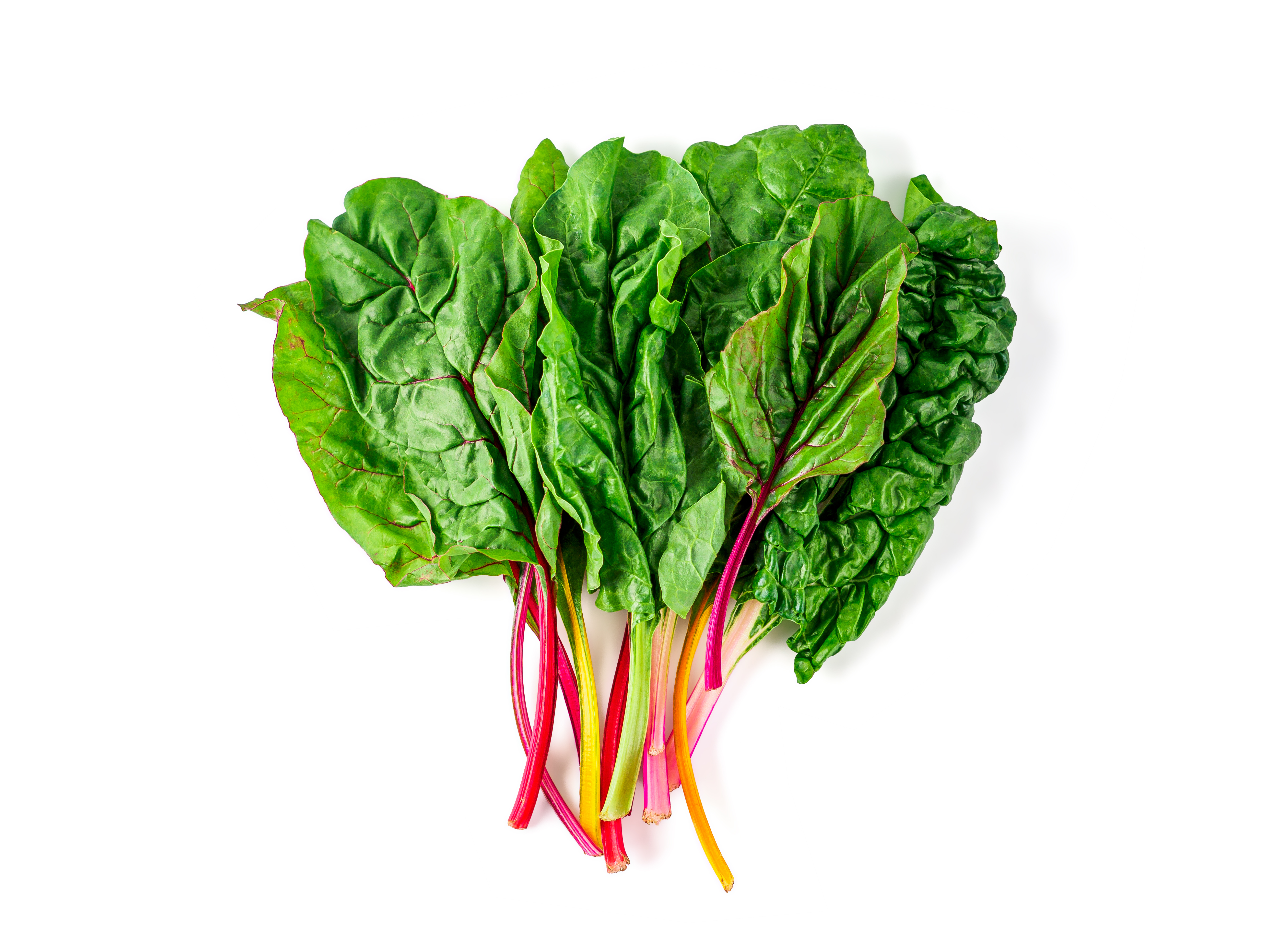 Rainbow Chard