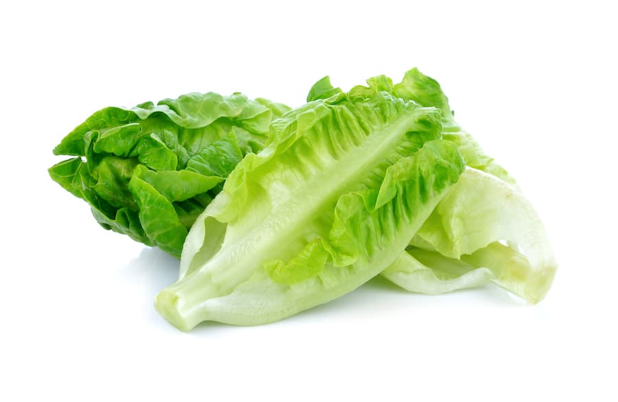 Lettuce