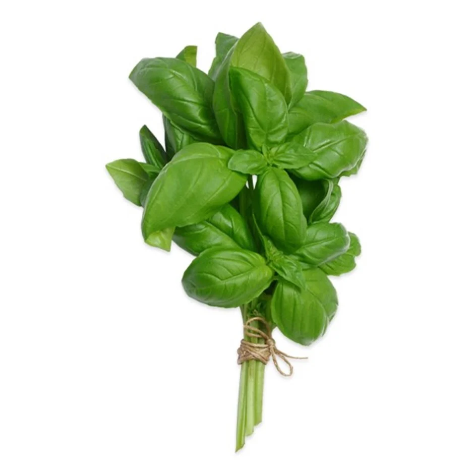 Basil